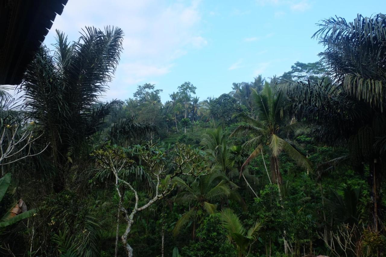 Gunung Kawi House Villa Tegallalang  Eksteriør billede