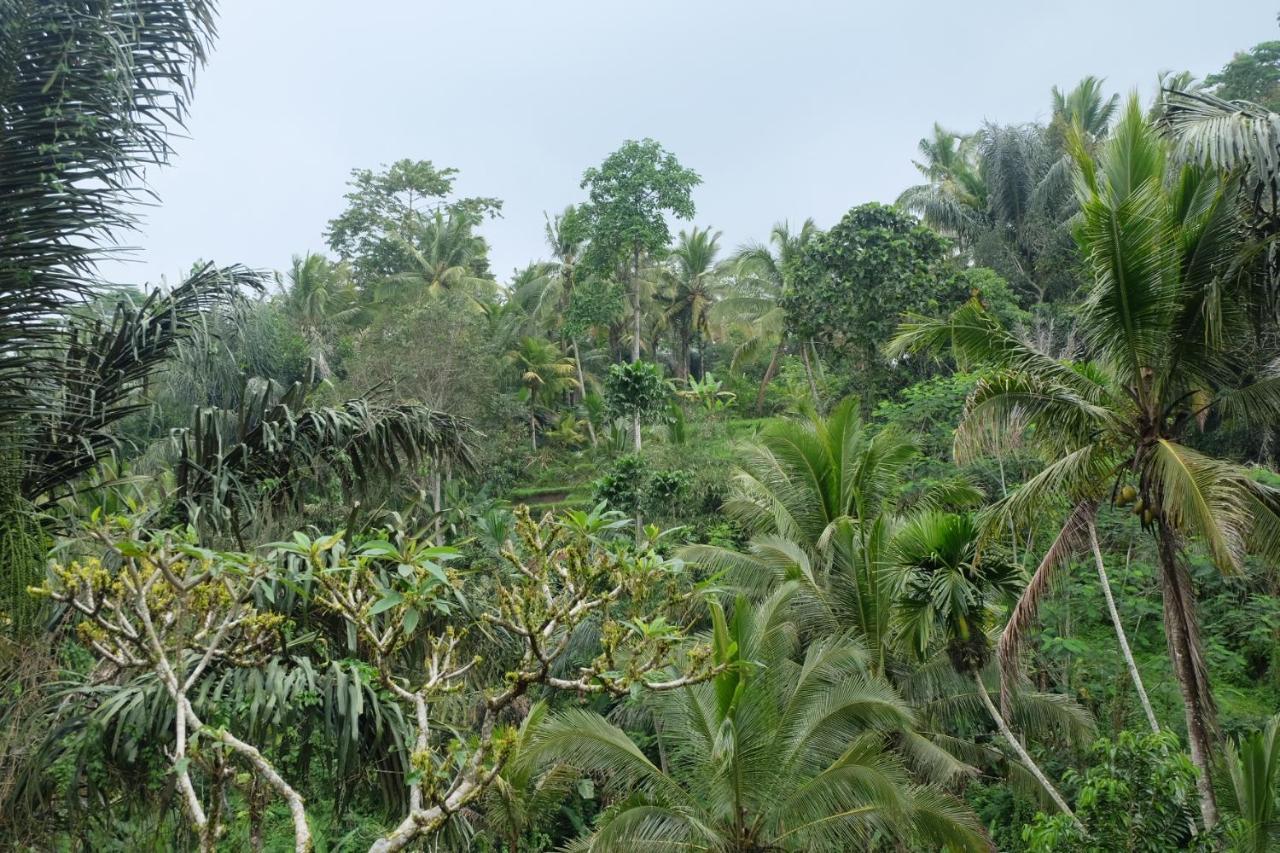 Gunung Kawi House Villa Tegallalang  Eksteriør billede