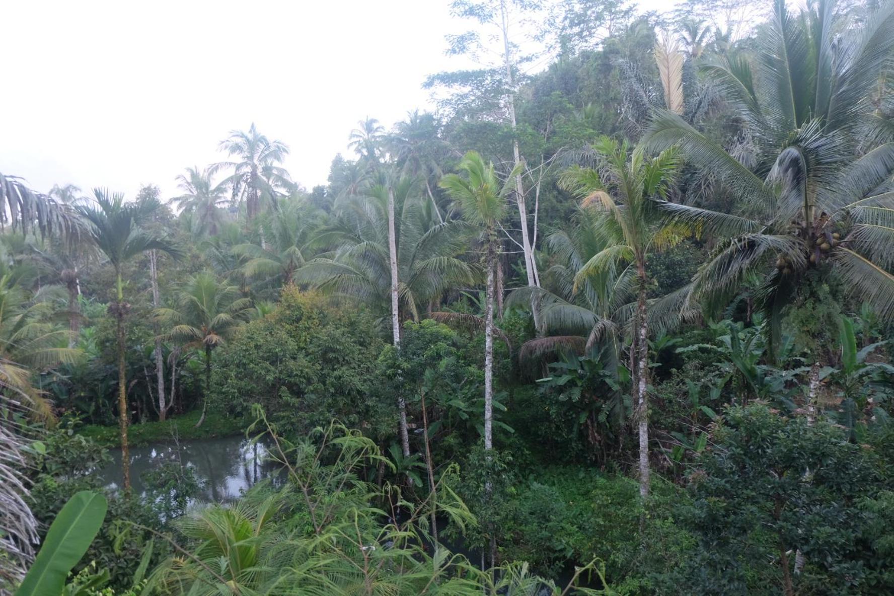 Gunung Kawi House Villa Tegallalang  Eksteriør billede