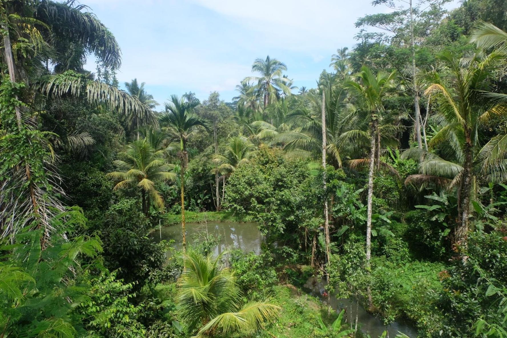 Gunung Kawi House Villa Tegallalang  Eksteriør billede