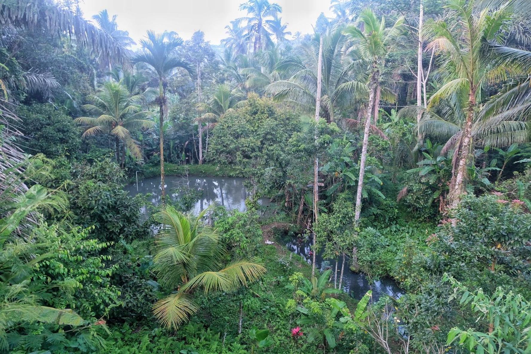 Gunung Kawi House Villa Tegallalang  Eksteriør billede